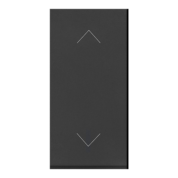 LEGRAND ALLZY MATT BLACK 6A 2 WAY MODULAR SWITCH